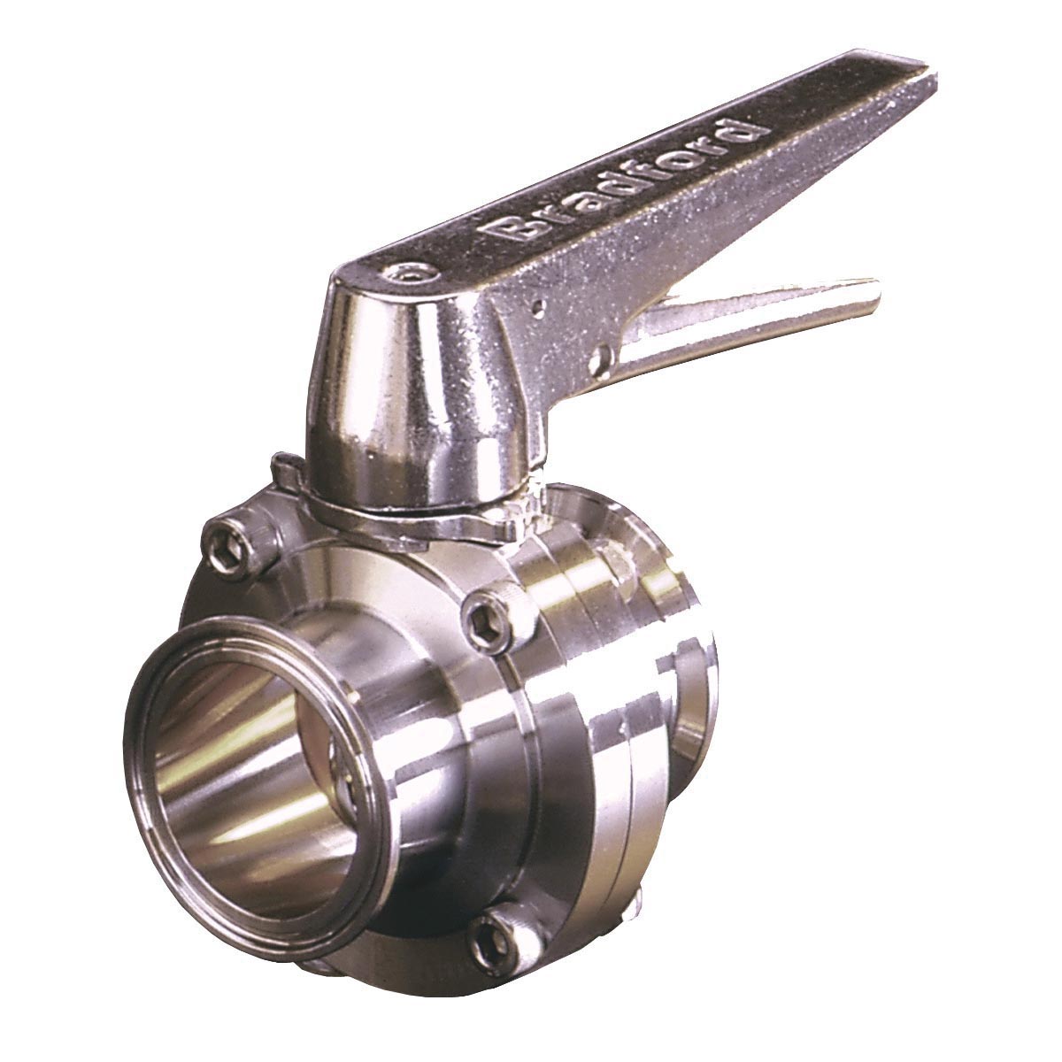 Dixon Sanitary Butterfly Valve