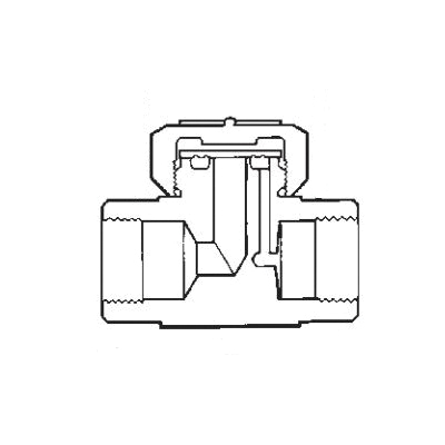 Spirax Sarco BTD52L with NPT ends