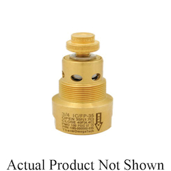 ThermOmegaTech IC/FP Freeze Protection Valve